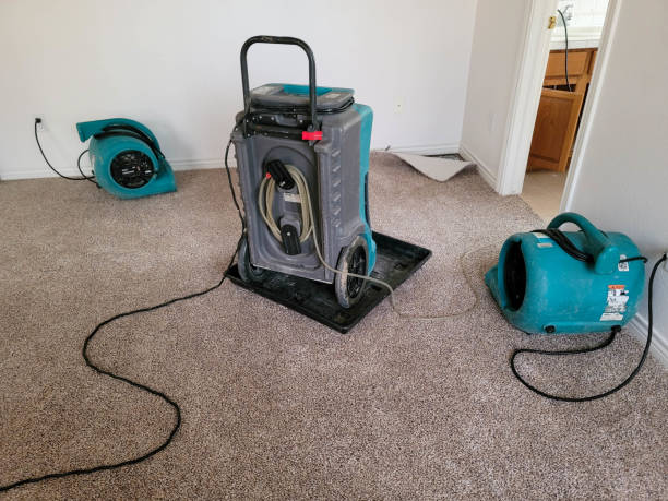 Best Flood restoration services  in Cashmere, WA