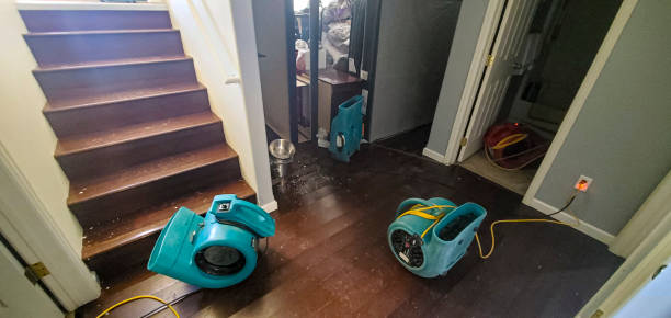Best 24/7 water damage repair  in Cashmere, WA