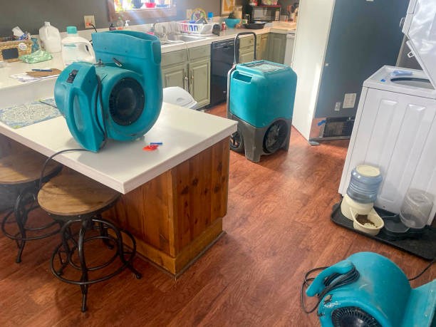 Best Sewage cleanup and water damage restoration  in Cashmere, WA
