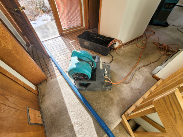 Best Flood restoration services  in Cashmere, WA