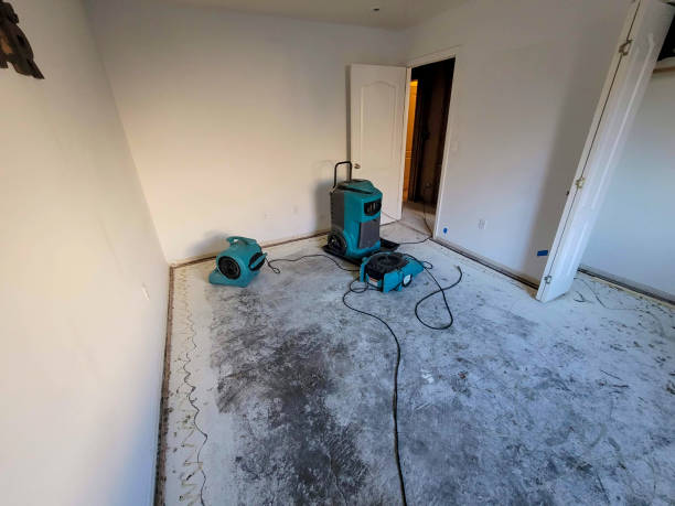 Best Local water damage restoration  in Cashmere, WA