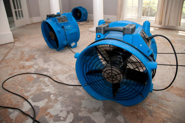 Best Flooded house restoration  in Cashmere, WA
