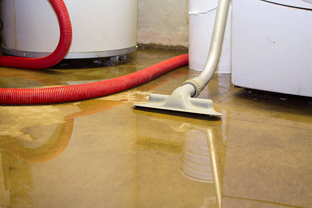 Best Mold removal after water damage  in Cashmere, WA