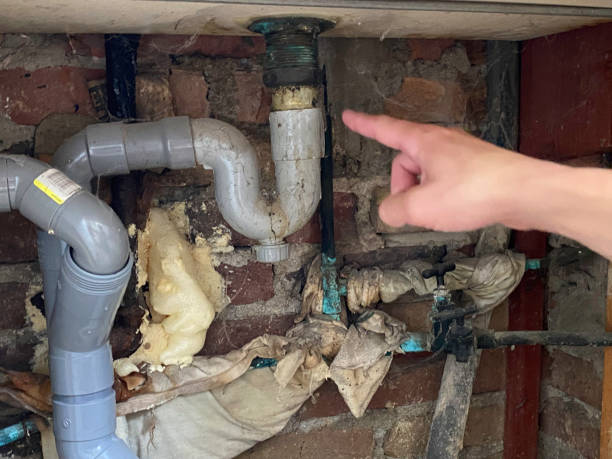 Best Water damage cleanup near me  in Cashmere, WA
